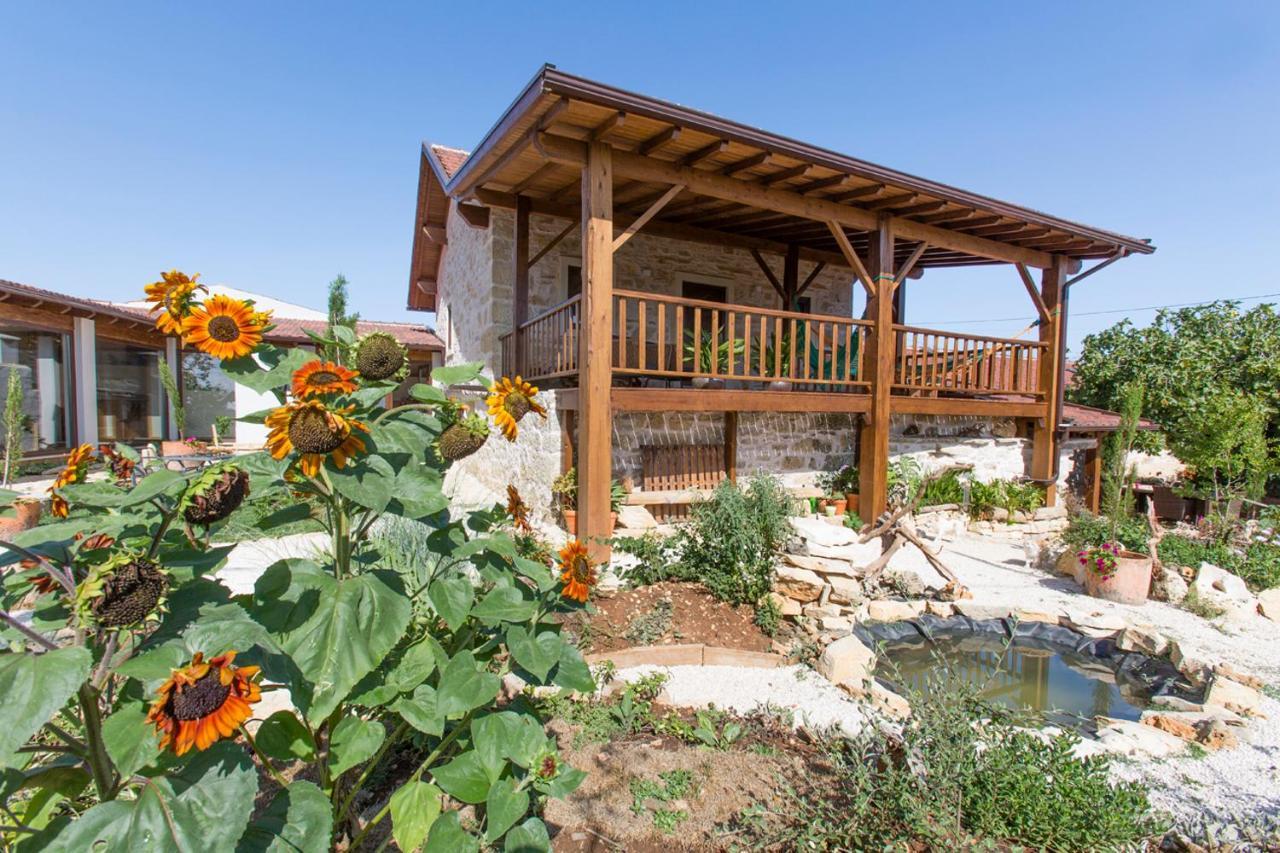 Villa Chanca Penela Kültér fotó